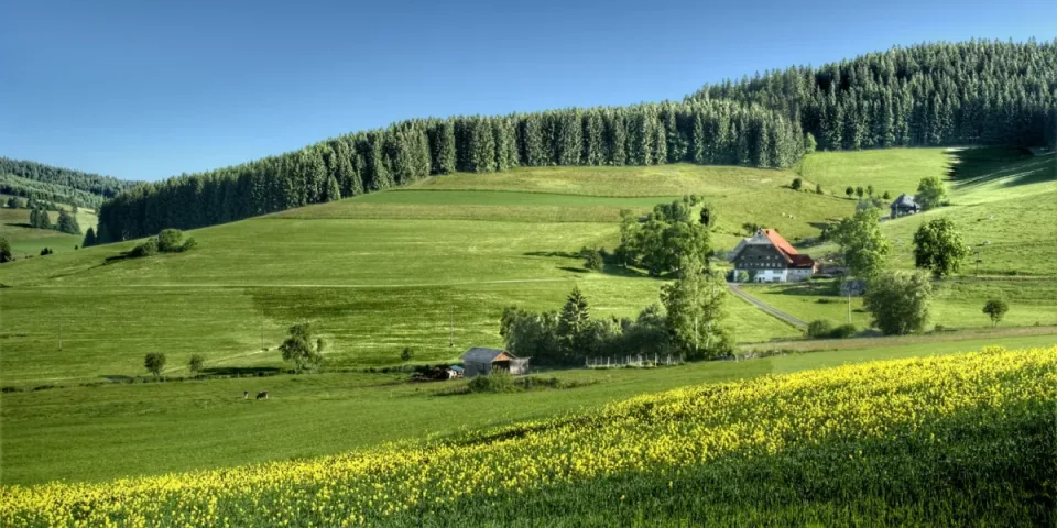 Jak przygotować pierwszoklasistę do samodzielnego dojazdu do szkoły?
