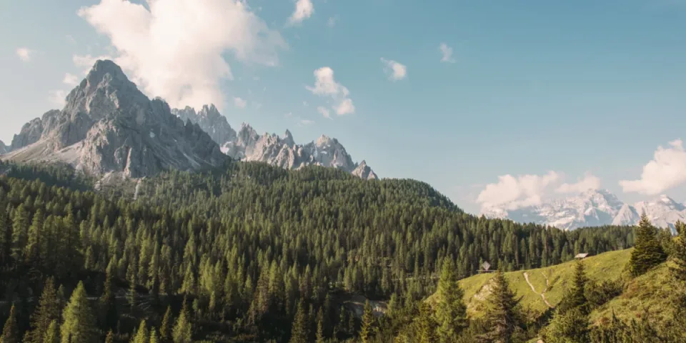 Zmiany w motoryzacji - nowe trendy i wyzwania dla kierowców i producentów